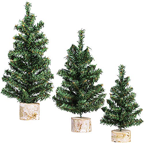 Mini Christmas Pine Trees