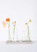 Load image into Gallery viewer, Vintage Bottle Vases on Wood Tray