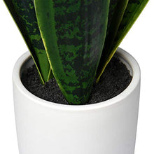 Load image into Gallery viewer, Artificial Snake Plant in Ceramic Pot