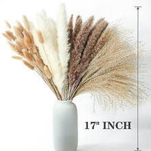 Load image into Gallery viewer, Dried Pampas Grass Decor