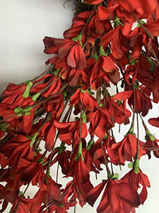 Red Burgundy Forsythia Door Wreath
