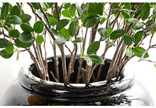 Load image into Gallery viewer, Faux Eucalyptus Stems